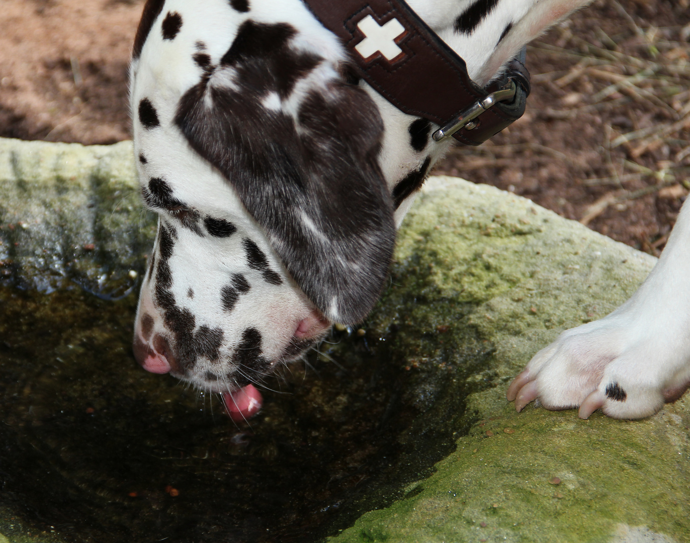 Endlich Wasser..