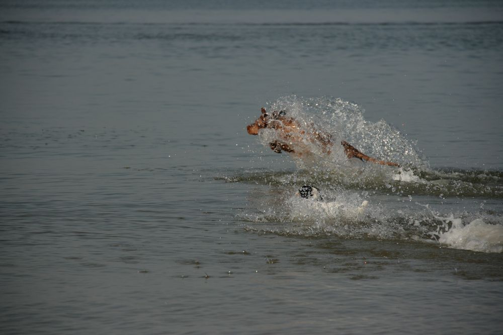 Endlich Wasser