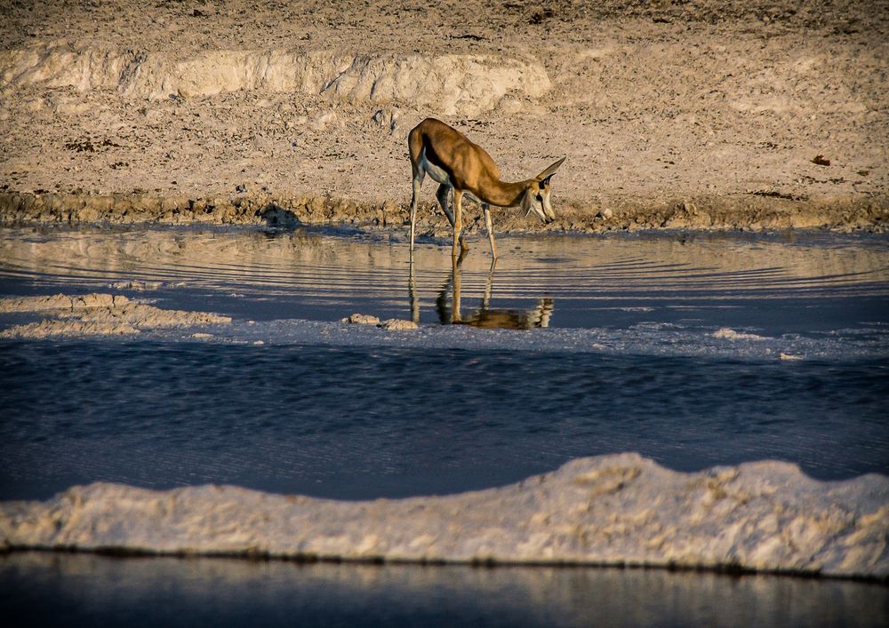 endlich Wasser!