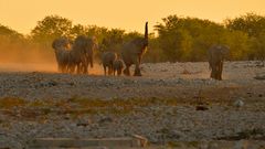 Namibia 2016