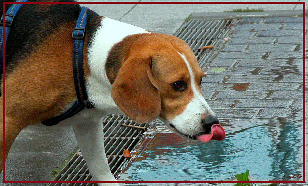 Endlich Wasser!!!!!!!