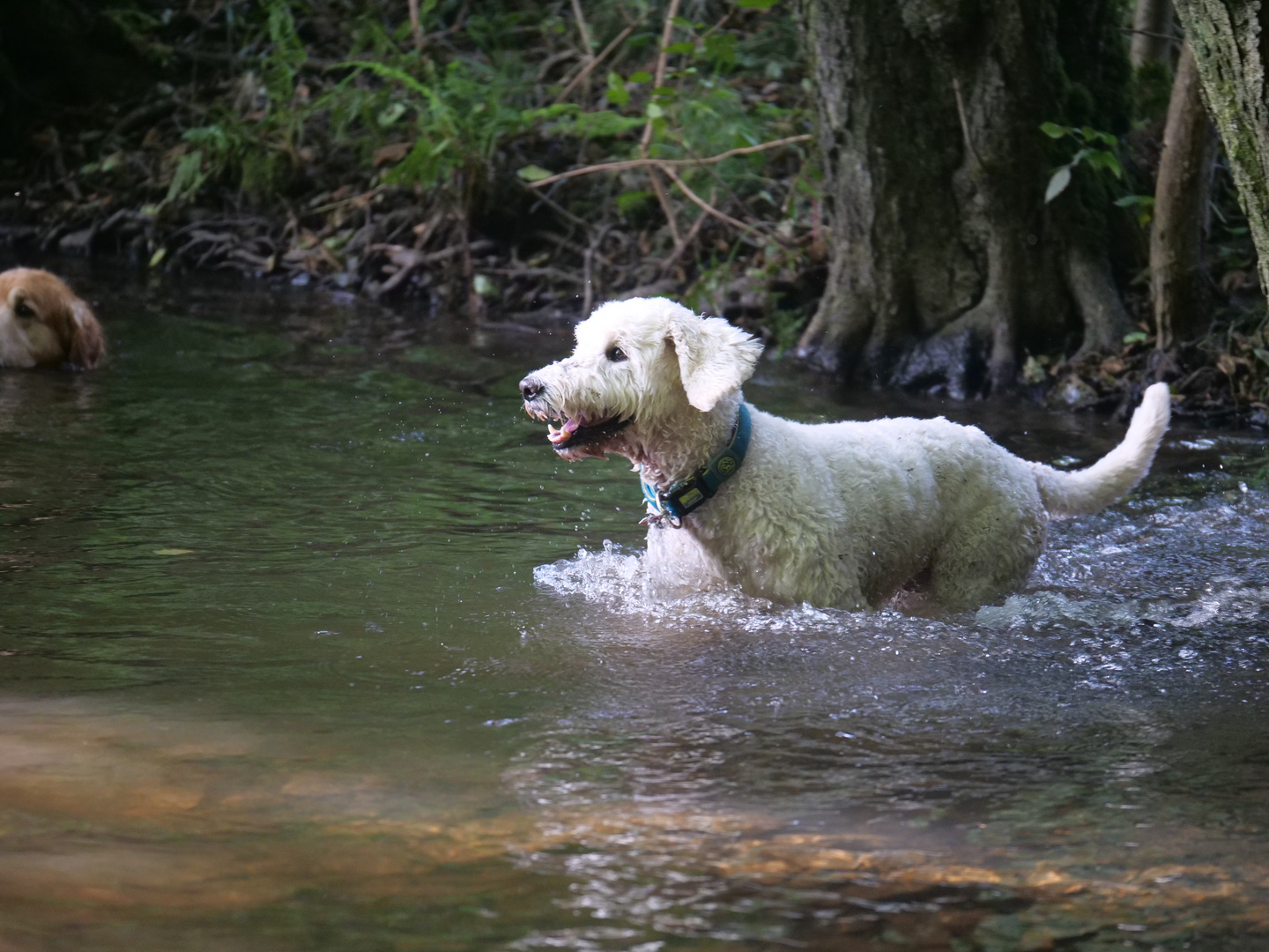 Endlich Wasser