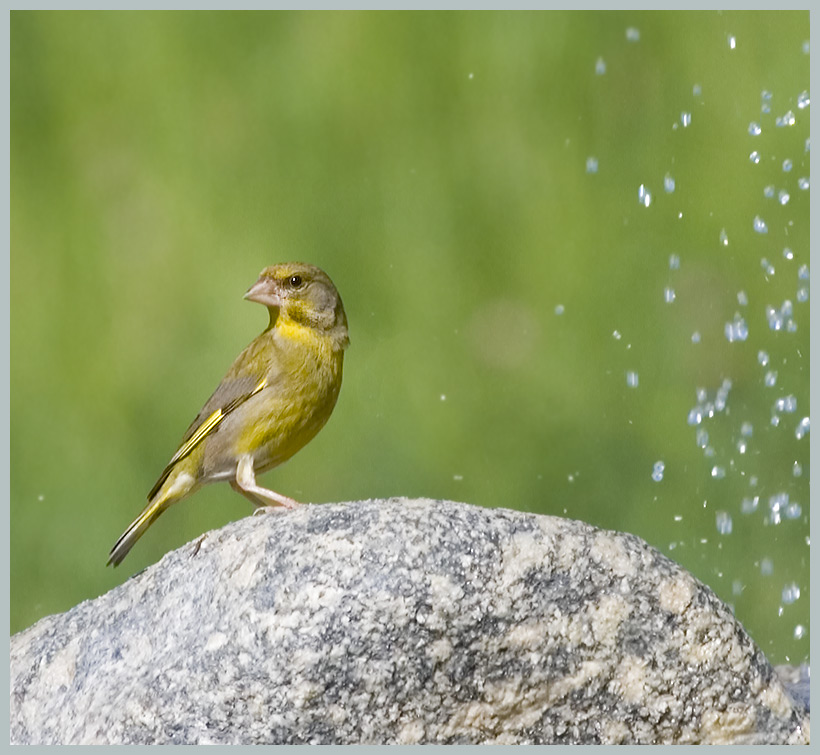 Endlich Wasser