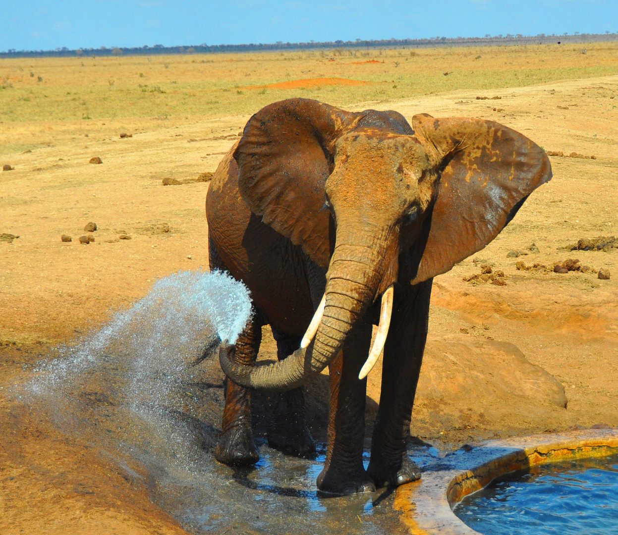 Endlich Wasser / Kenia 2012