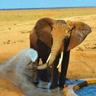 Endlich Wasser / Kenia 2012