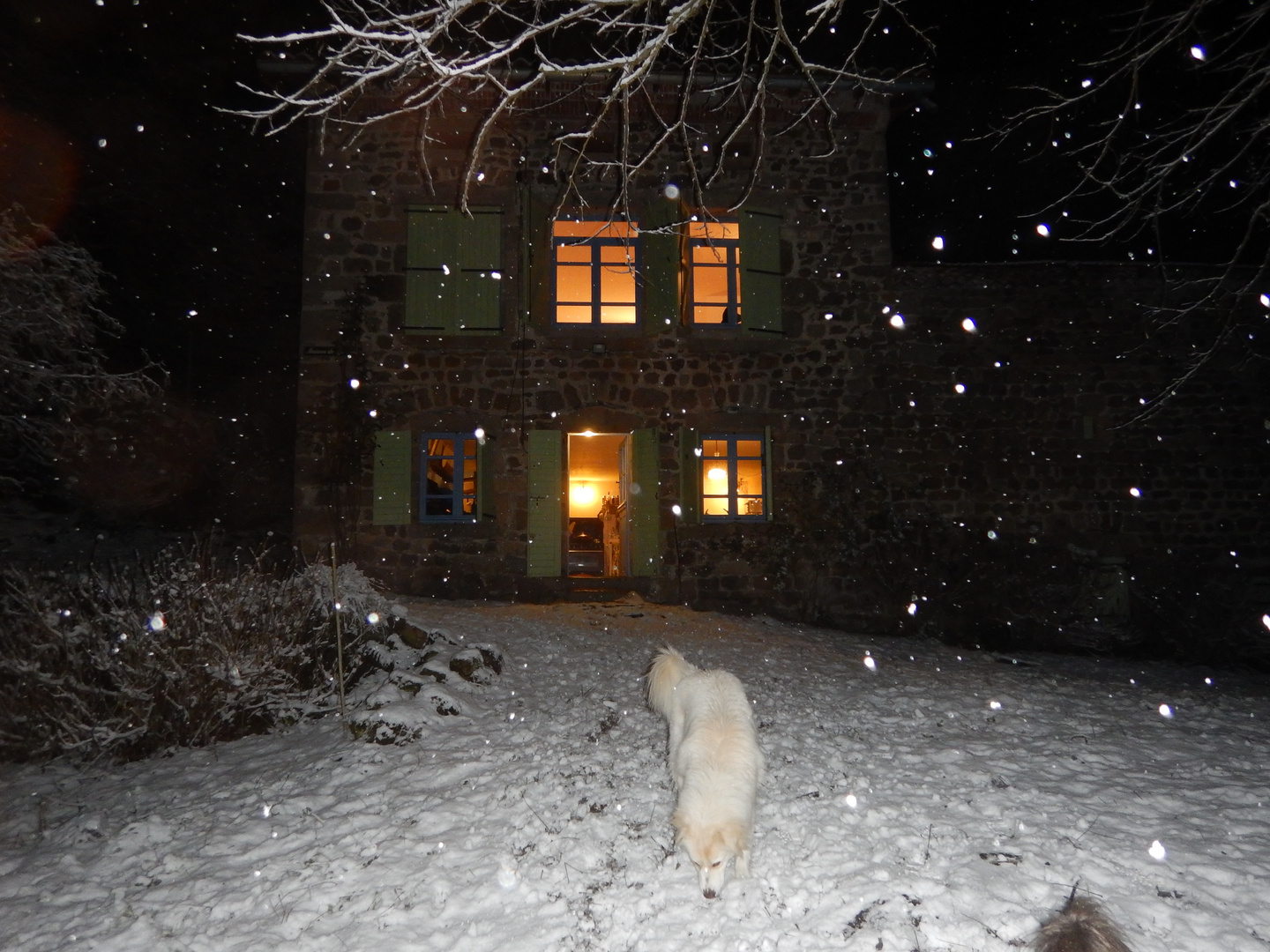 Endlich Weihnacht im Schnee