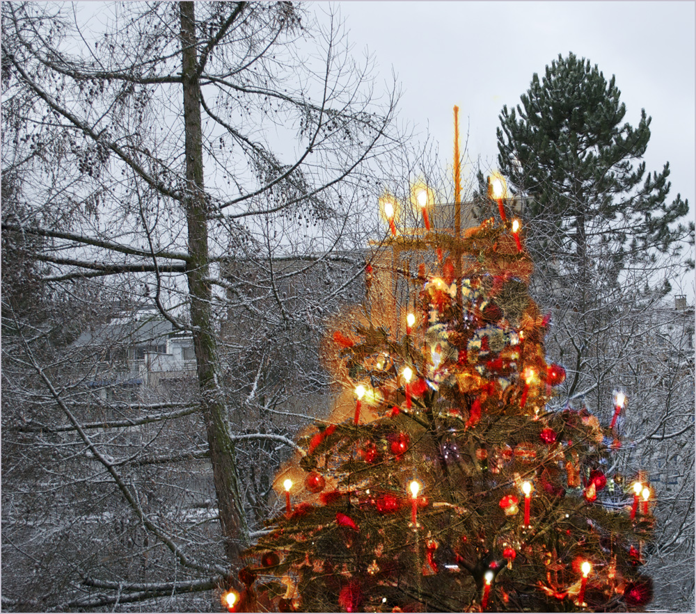 endlich weisse Weihnachten