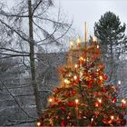 endlich weisse Weihnachten