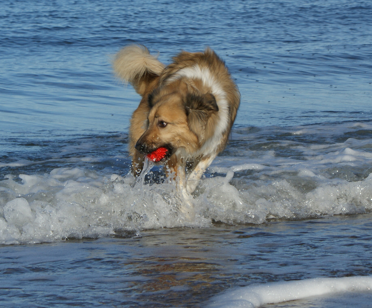 endlich wieder baden . . .