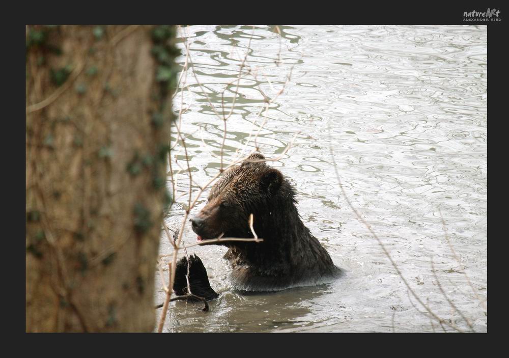 -Endlich wieder baden-