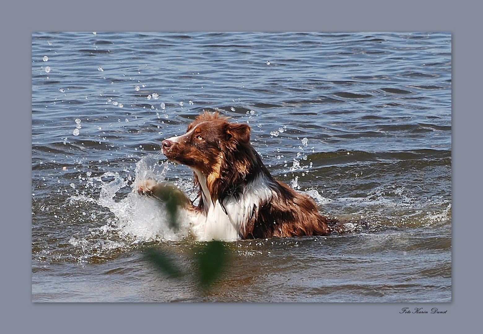 endlich wieder baden.....