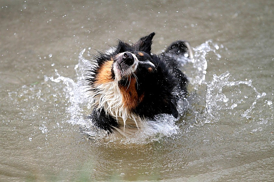 Endlich wieder baden