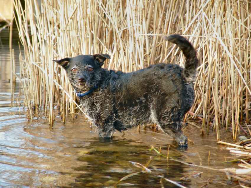 Endlich wieder baden gehen