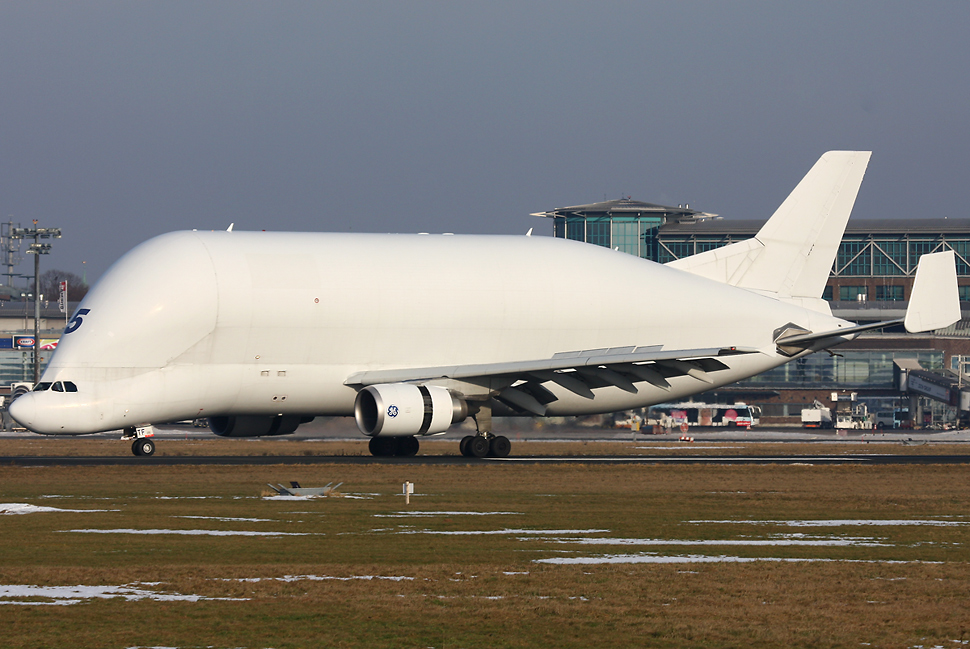 Endlich wieder Beluga Spotten