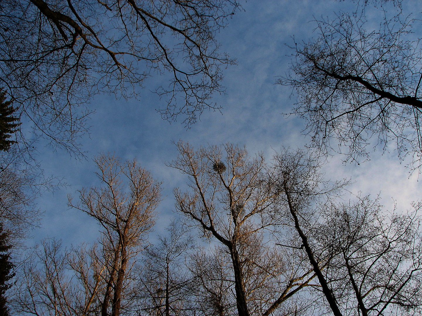 Endlich wieder blauer Himmel