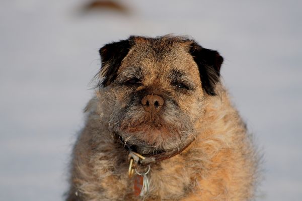 Endlich wieder Buddeln !!