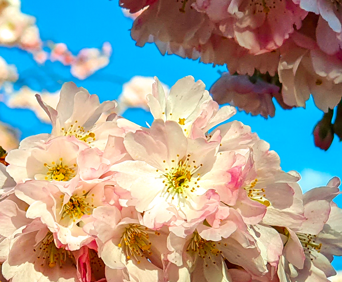 Endlich wieder bunt