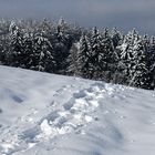 endlich wieder das knirschen des schnees unter den schuhen ...