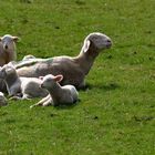 Endlich wieder die Sonne genießen