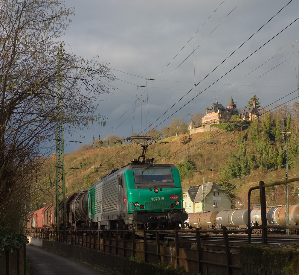 Endlich wieder etwas Grünes