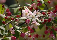 endlich wieder Farbe in der Natur