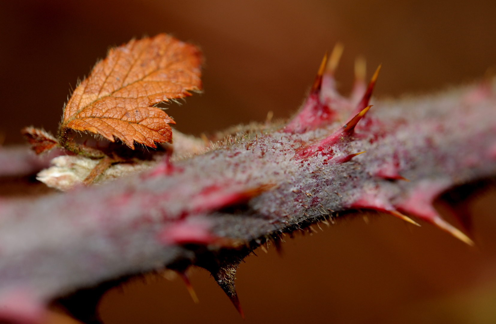 ...endlich wieder Farben...