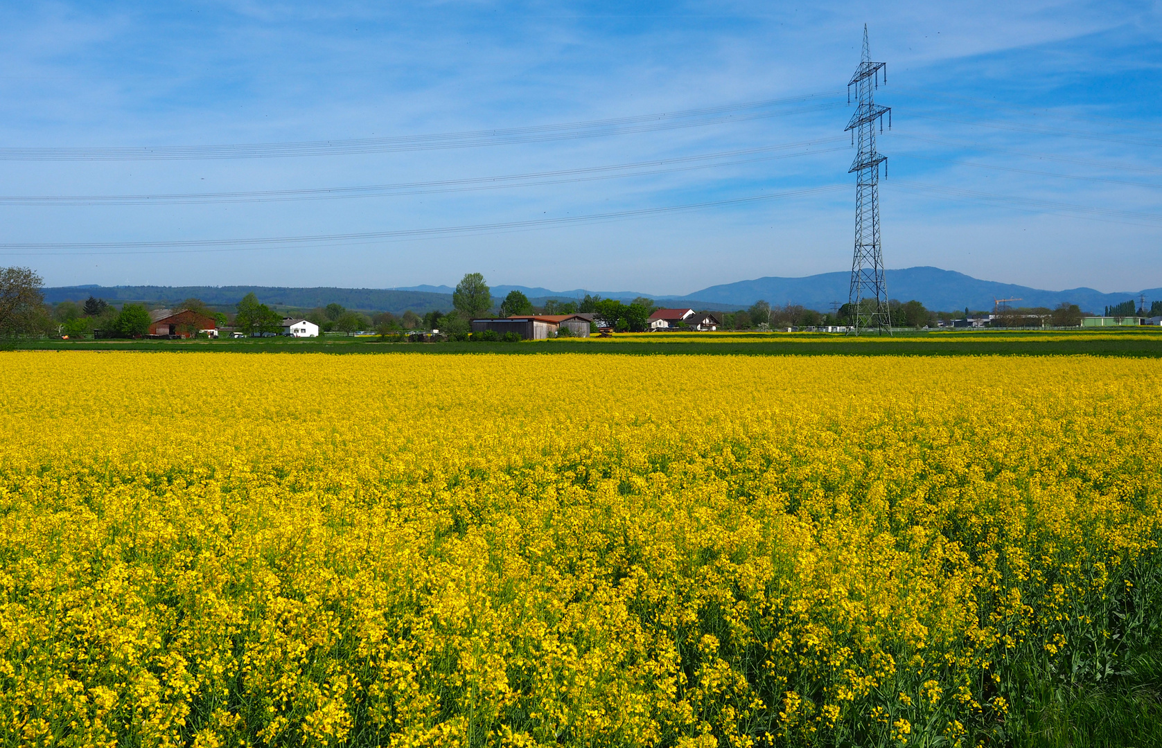 Endlich wieder Farben