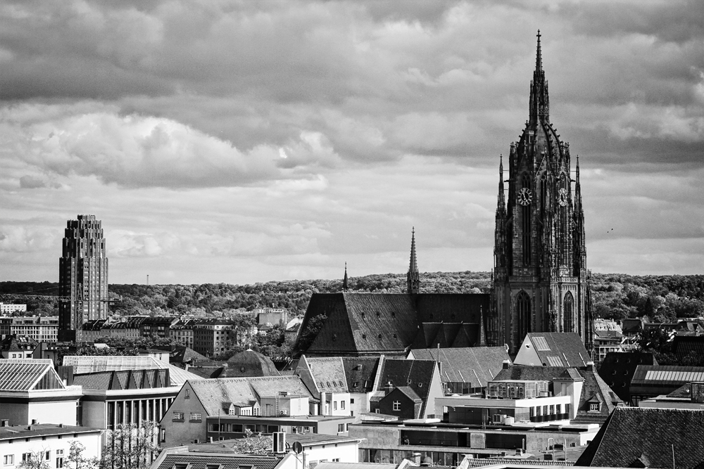 endlich wieder freie Sicht auf den Dom