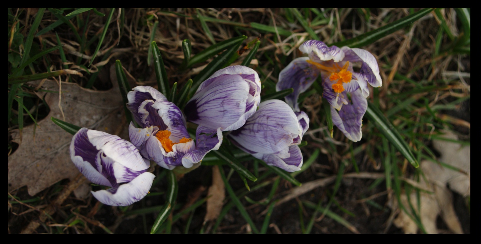 Endlich wieder Frühling