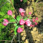 Endlich wieder Frühling...