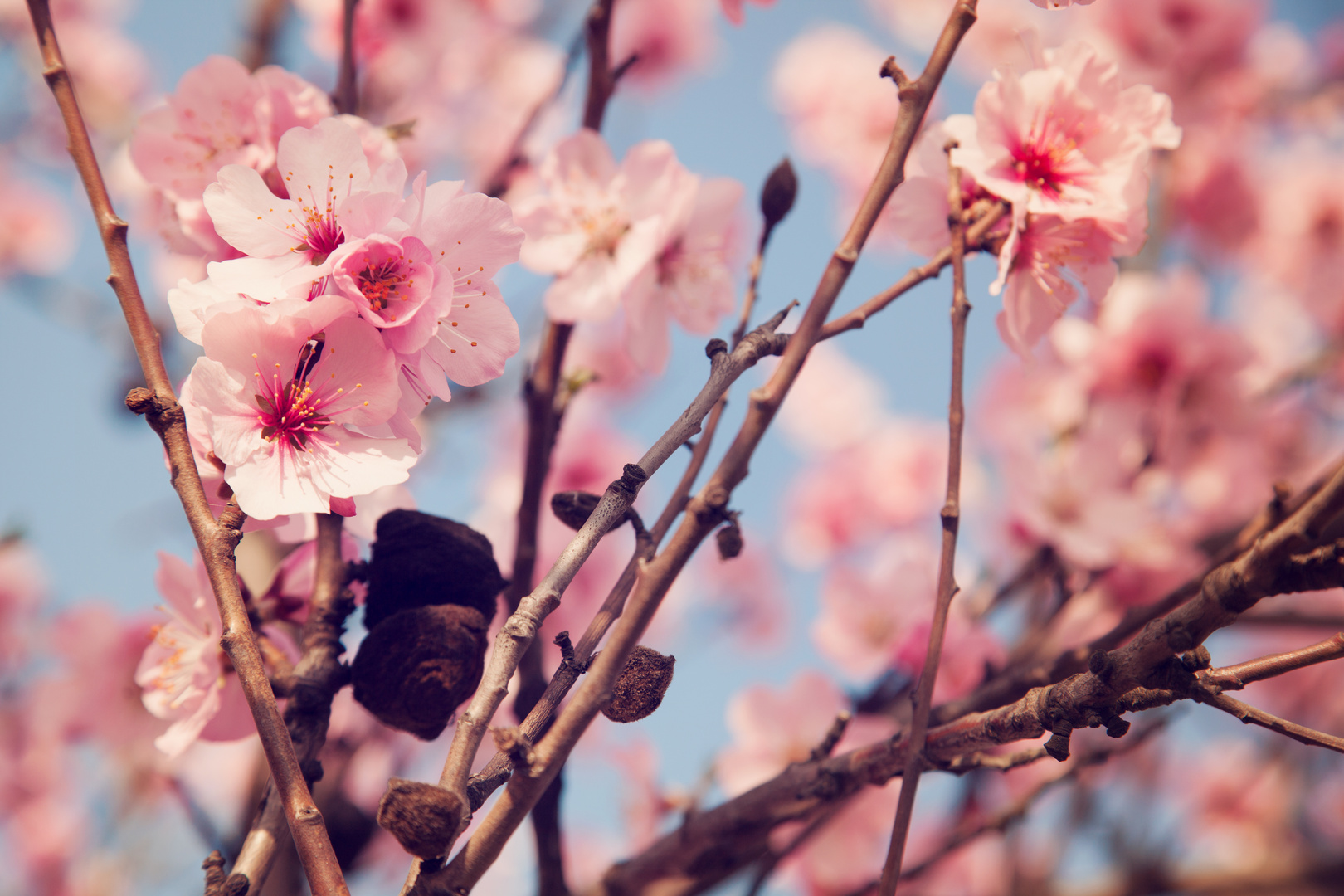 Endlich wieder Frühling