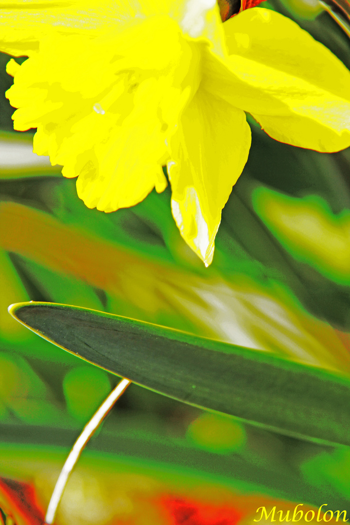 Endlich wieder Frühling!