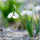 Endlich wieder Frühling!