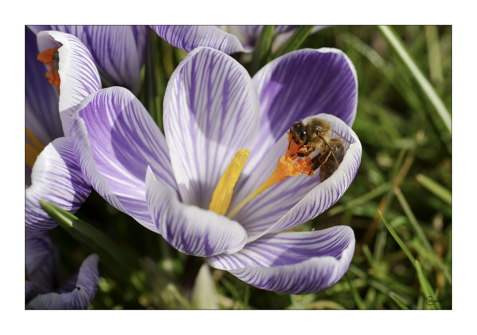 Endlich wieder Frühling