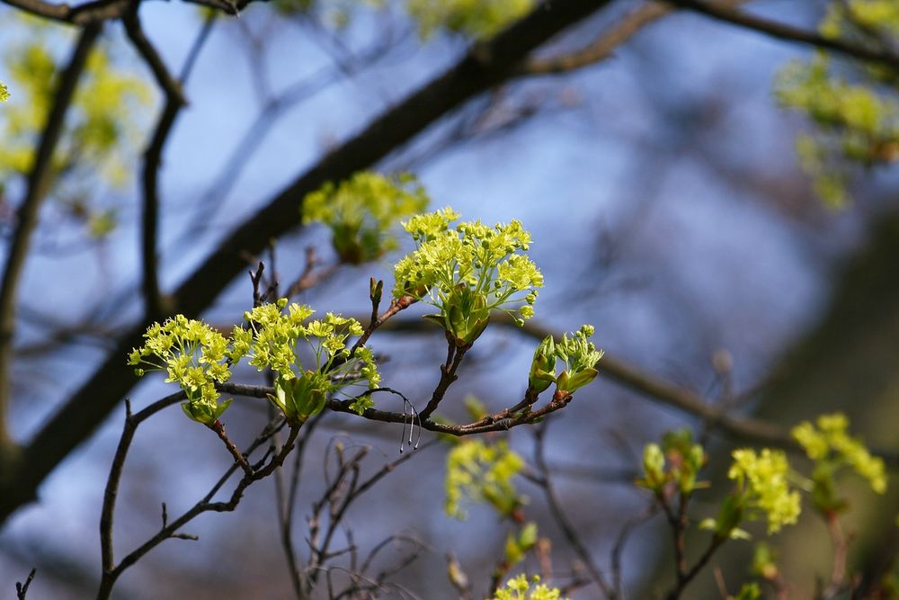 endlich wieder Frühling