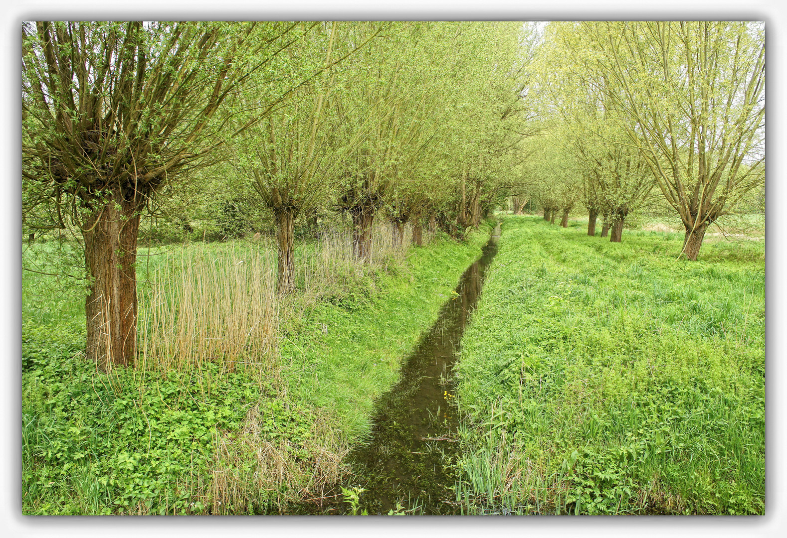 Endlich wieder grün