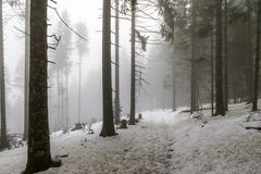 endlich wieder im Schwarzwald