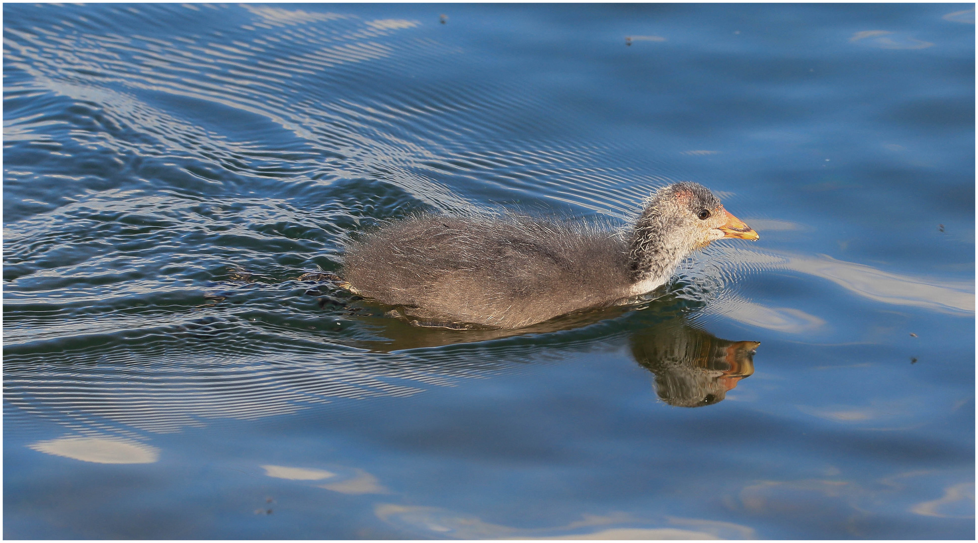 ... endlich wieder im Wasser