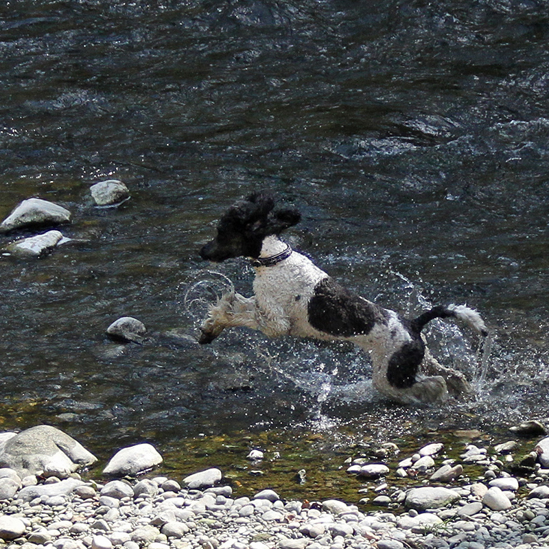 ... endlich wieder ins Wasser