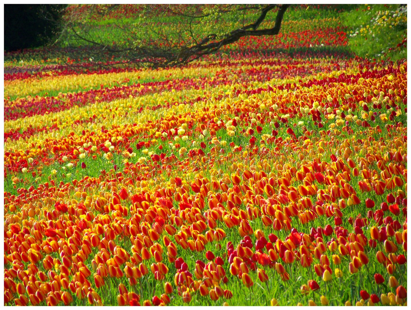 endlich wieder leuchtende Farben