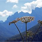 Endlich wieder ohne schlechtes Gewissen in die Berge