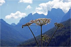 Endlich wieder ohne schlechtes Gewissen in die Berge