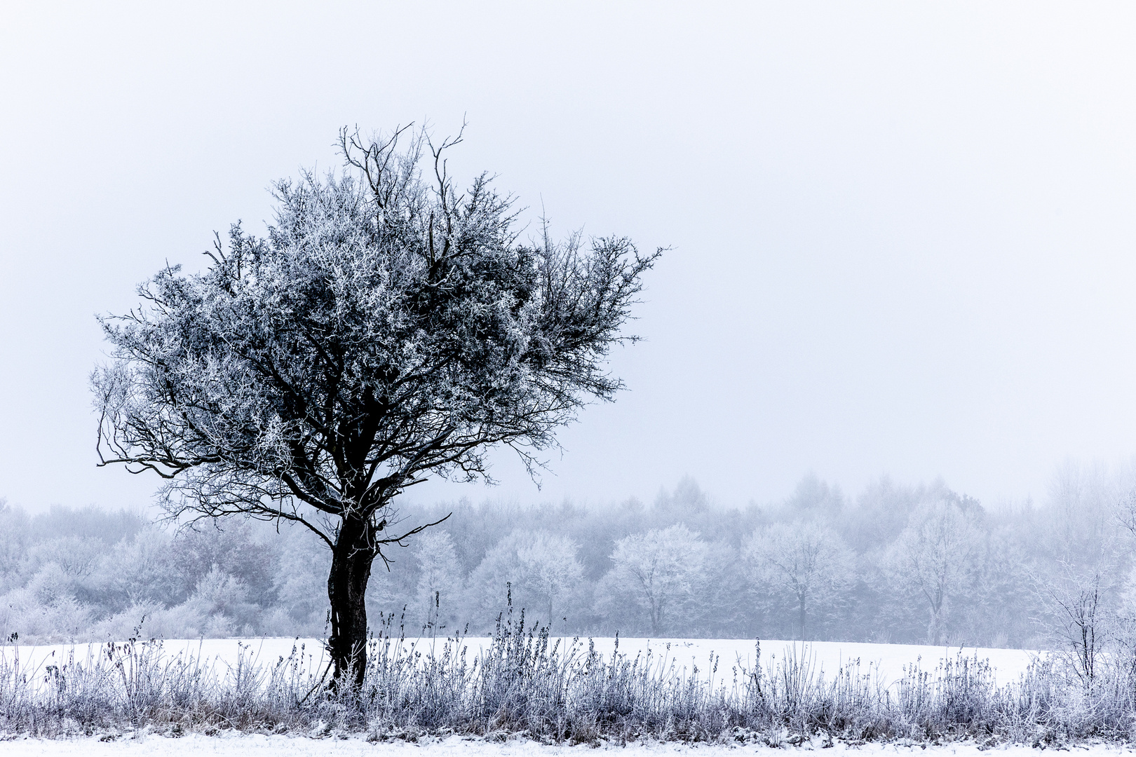 Endlich wieder Schnee