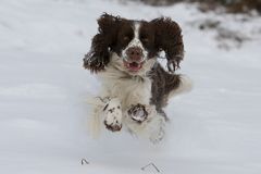 Endlich wieder Schnee