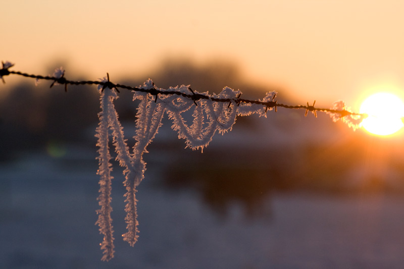 Endlich wieder Schnee...