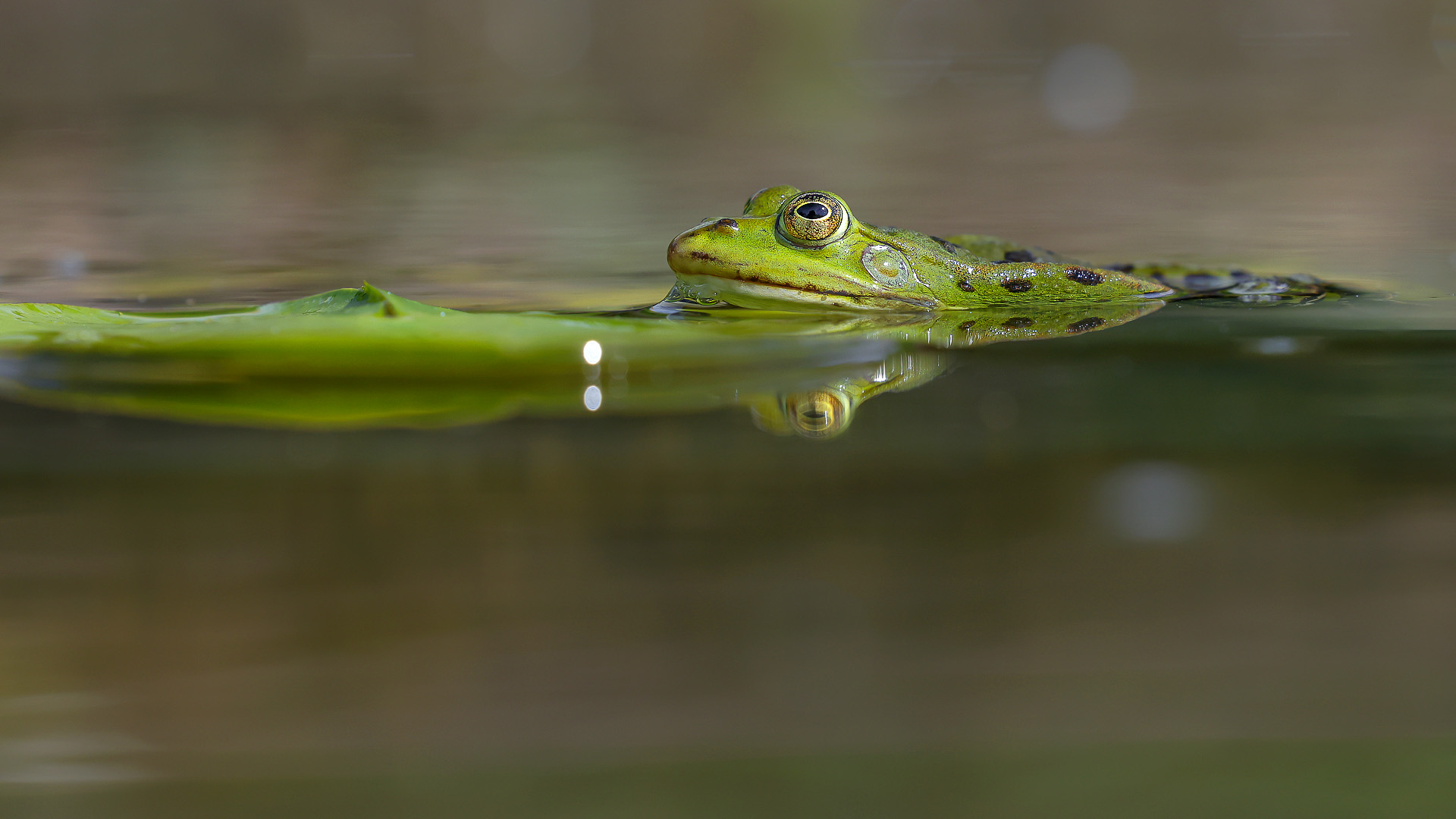 Endlich wieder schwimmen