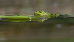 Endlich wieder schwimmen