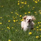 endlich wieder Sonne