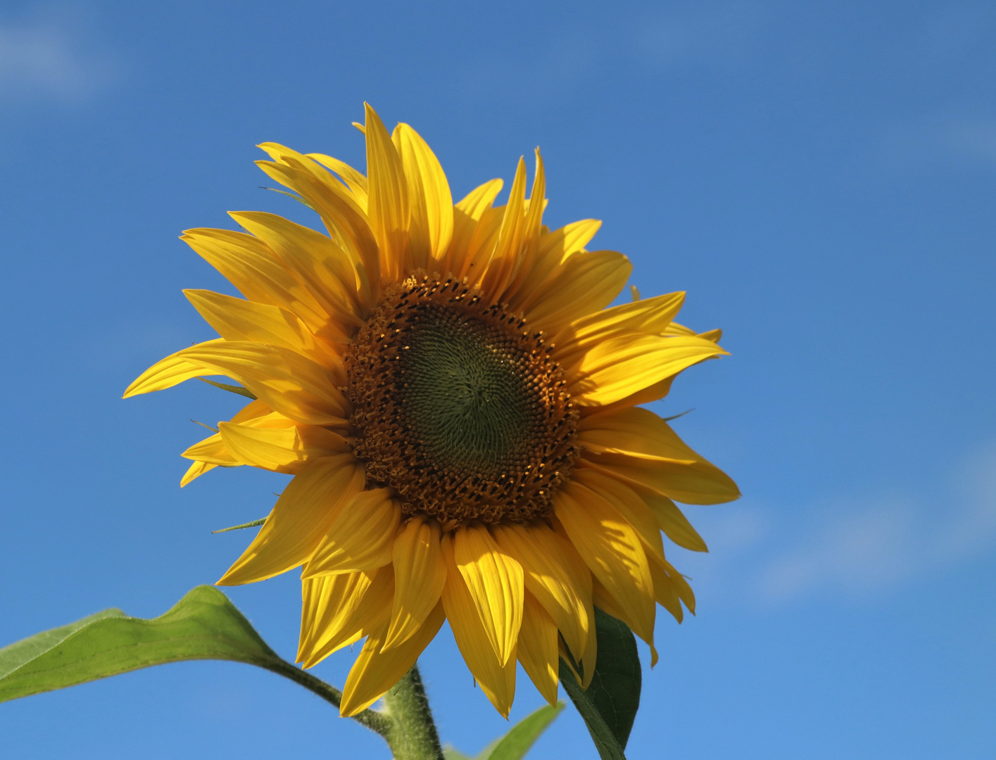 Endlich wieder Sonne!