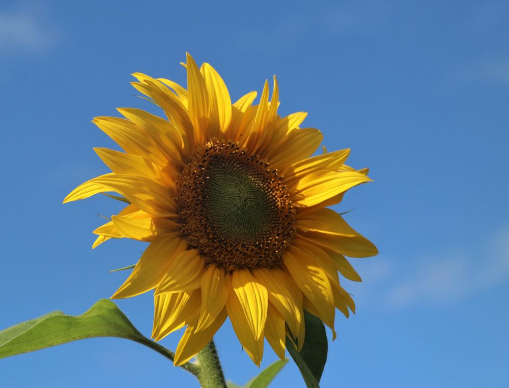 Endlich wieder Sonne!